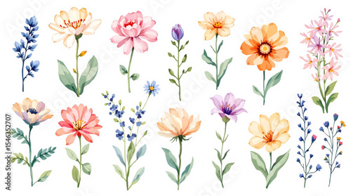 Set colorful spring flowers