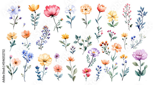 Set colorful spring flowers