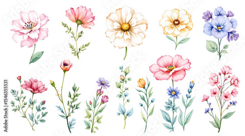 Set of spring flowers, Colorful spring flowers, Set of watercolor flowers, Clipart watercolor flowers	