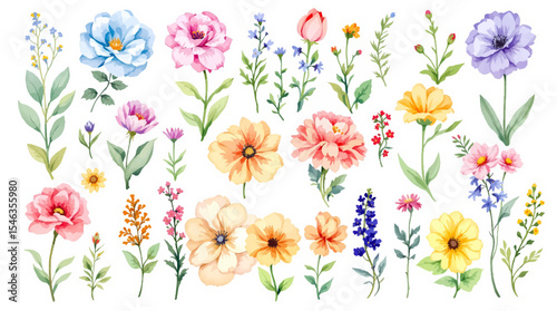 Set of spring flowers, Set of spring flowers