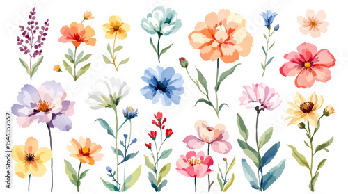 Set of watercolor flowers, set of flowers