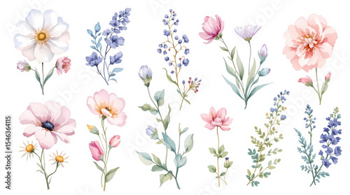 pink and white flowers watercolor