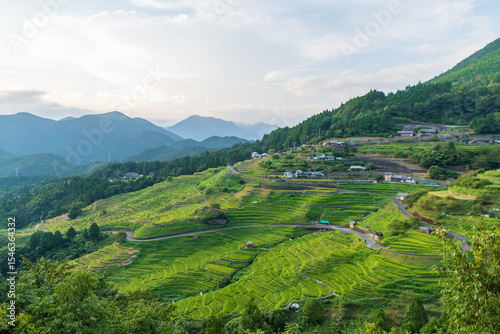 初夏の丸山千枚田と山々の風景