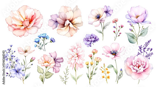 Wallpaper Mural Set of watercolor flowers, Clipart watercolor flowers Torontodigital.ca