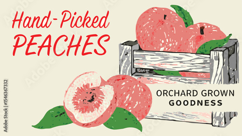 Illustration of hand picked peaches with orchard grown goodness in a crate with green leaves around it