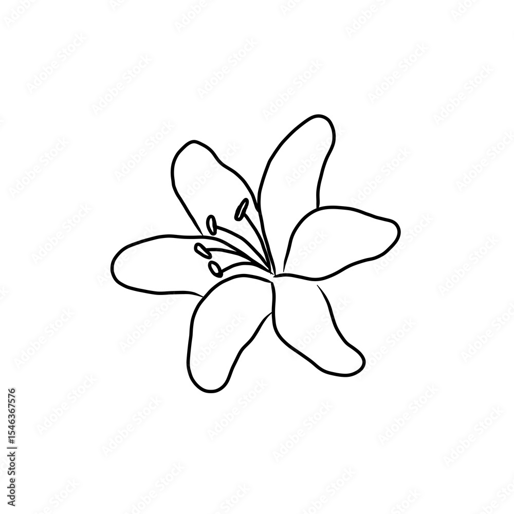 Obraz premium Hand drawn line art flower isolated on transparent background. 