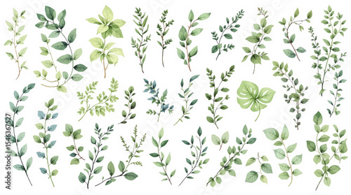 green floral background