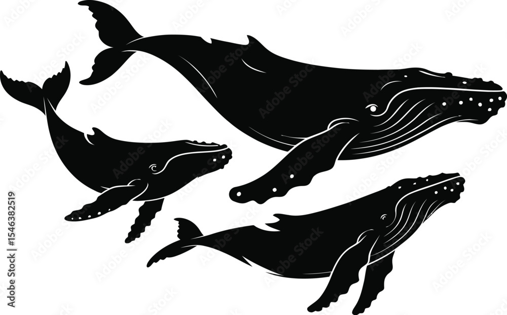 Obraz premium Silhouette of humpback whales family ocean wildlife