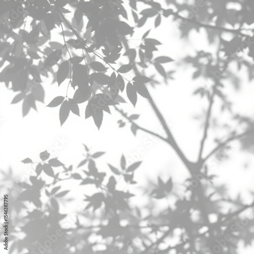 shadow overlay effect. Gray shadow of leaves isolated on white background. Plant foliage leaf shadow light effect. Mockup Blurred tree branch shadow. Ideal for summer spring design elements PNG