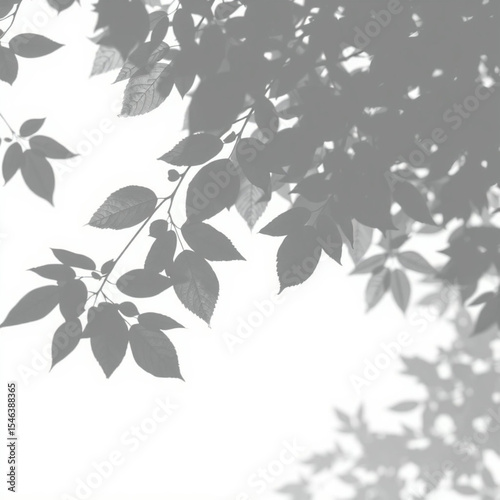 shadow overlay effect. Gray shadow of leaves isolated on white background. Plant foliage leaf shadow light effect. Mockup Blurred tree branch shadow. Ideal for summer spring design elements PNG