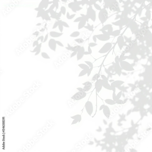 shadow overlay effect. Gray shadow of leaves isolated on white background. Plant foliage leaf shadow light effect. Mockup Blurred tree branch shadow. Ideal for summer spring design elements PNG