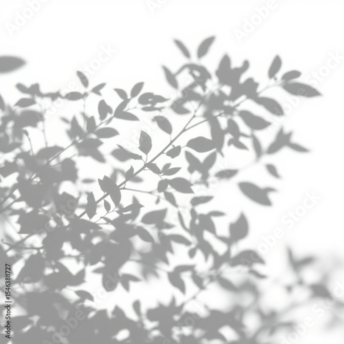 shadow overlay effect. Gray shadow of leaves isolated on white background. Plant foliage leaf shadow light effect. Mockup Blurred tree branch shadow. Ideal for summer spring design elements PNG