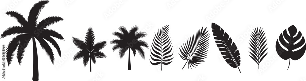 Fototapeta premium Beautiful palm tree leaf set silhouette background vector illustration