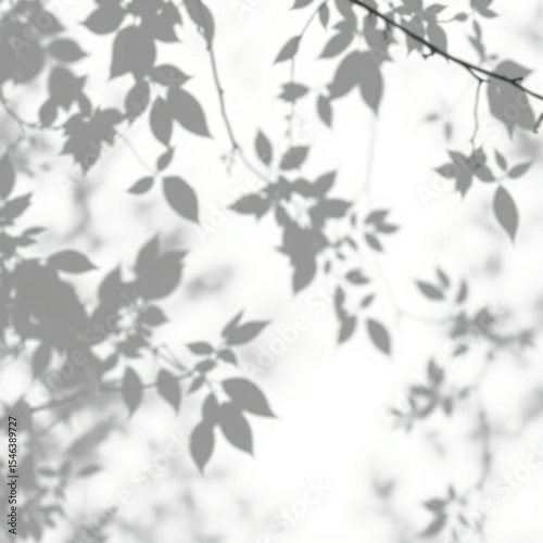 shadow overlay effect. Gray shadow of leaves isolated on white background. Plant foliage leaf shadow light effect. Mockup Blurred tree branch shadow. Ideal for summer spring design elements PNG