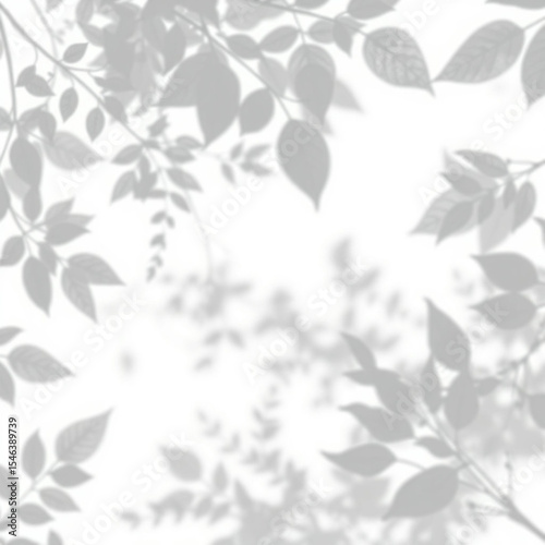 shadow overlay effect. Gray shadow of leaves isolated on white background. Plant foliage leaf shadow light effect. Mockup Blurred tree branch shadow. Ideal for summer spring design elements PNG