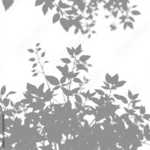 shadow overlay effect. Gray shadow of leaves isolated on white background. Plant foliage leaf shadow light effect. Mockup Blurred tree branch shadow. Ideal for summer spring design elements PNG