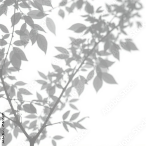 shadow overlay effect. Gray shadow of leaves isolated on white background. Plant foliage leaf shadow light effect. Mockup Blurred tree branch shadow. Ideal for summer spring design elements PNG