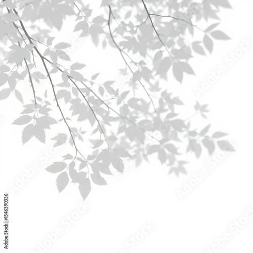 shadow overlay effect. Gray shadow of leaves isolated on white background. Plant foliage leaf shadow light effect. Mockup Blurred tree branch shadow. Ideal for summer spring design elements PNG