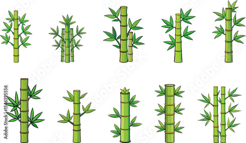 green bamboo with leaves set vector illustration
