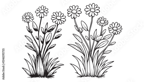 Vector illustration of cartoon flower black and white drawing For children to learn to color according to the picture.
