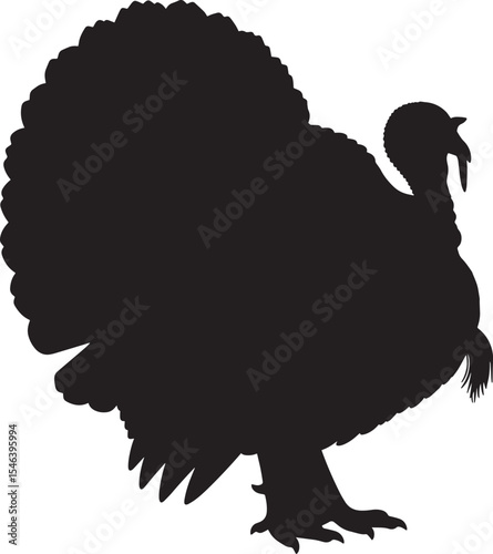 Vector art of a detailed illustration of a turkey isolated on white background