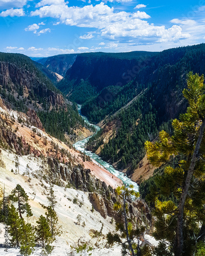 Grand Canyon of the Yellowstone with River and Colorful Cliffs