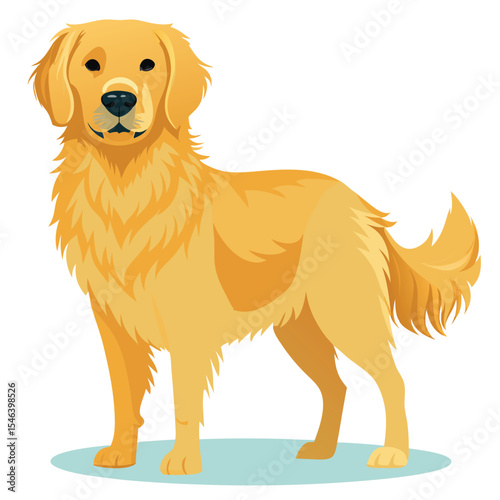 golden retriever dog