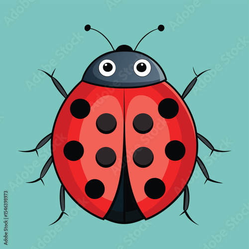 ladybug vector illustration