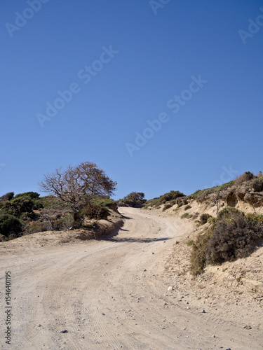 Schilderij op canvas Arid Greek landscape with gravel path winding uphill through dry grass and sparse bushes under a vibrant blue sky