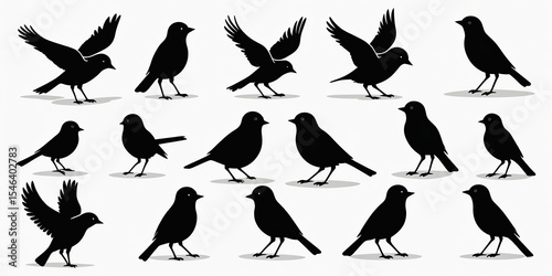 Set of Bird Silhouettes - Various Sparrow Poses