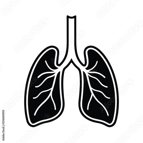 human lungs anatomy respiratory system  vector illustration