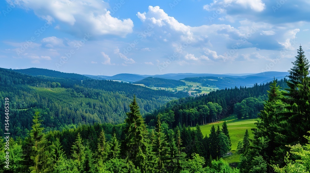 Fototapeta premium Scenery of the Black Forest in Germany: Enchanting Landscapes, Historic Villages, and Natural Wonders in Southern Germany