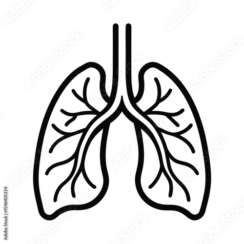 human lungs anatomy respiratory system  vector illustration