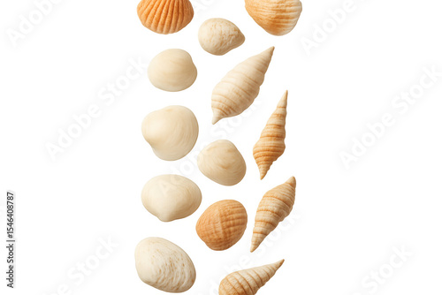 Seashells cascading softly, floating against clean white space, representing summer marine aesthetics and coastal design elements