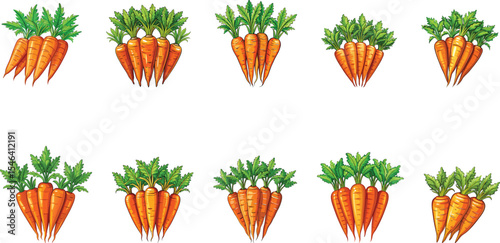 Bunch of carrots set vector illustration