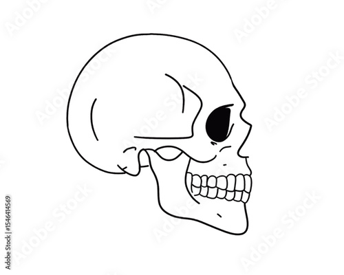 skull vector side