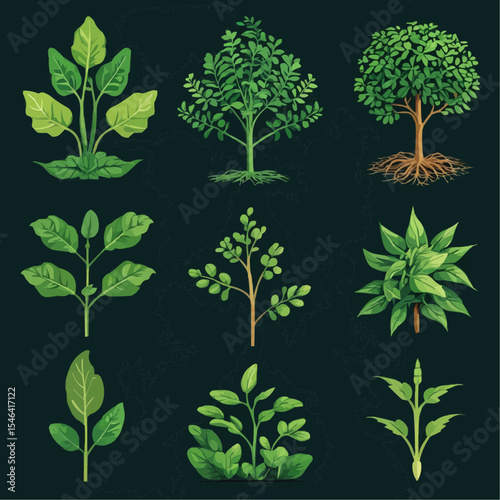 Ten Vibrant Vector Illustrations of Leaves and Trees Nature's Green Elegance