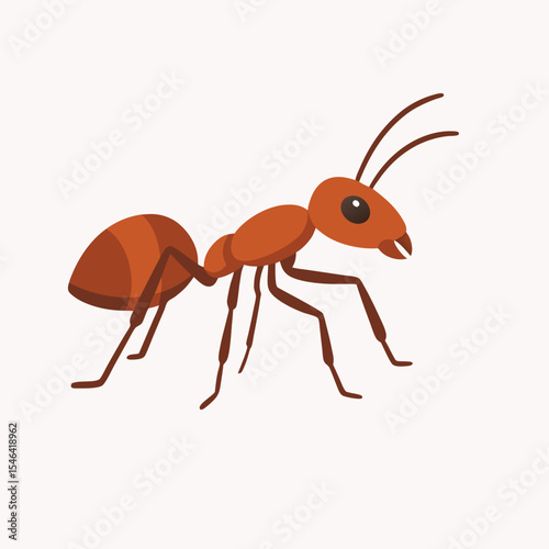 Ant vector art on white background
