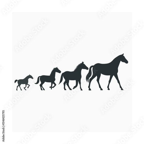 Horse Evolution Timeline Sequence Silhouette