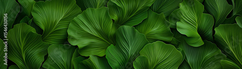 Lush green tropical leaf background jungle rainforest nature