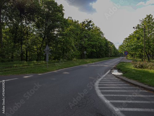 Asphalt road, no cars, green trees on the sides