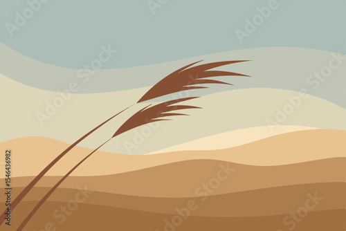 sand dunes in the desert