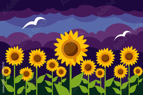 sunflower field with sunflowers