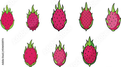 Dragon fruit set vector illustration