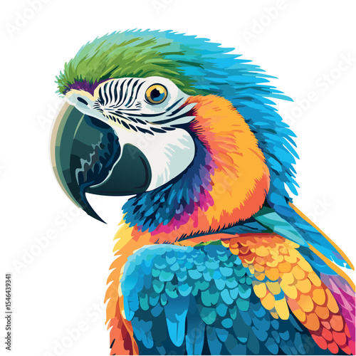 macaw parrot