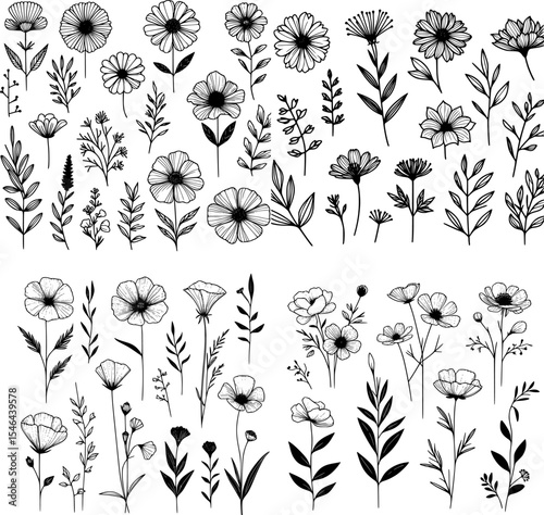 set of minimalist black and white line art of various flowers in outline style