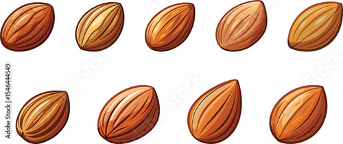 Almonds set vector illustration