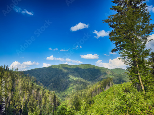 Scenic View of the Carpathian Mountains Covered by Clouds on a Sunny Day