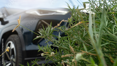 Blurred front view of a dark car parked on a grass field. Green grass with flowers arranged in front. Under a bright white sky.