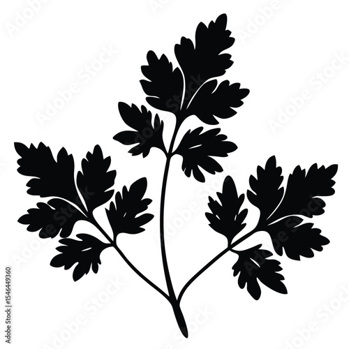 Black silhouette of parsley sprig illustration